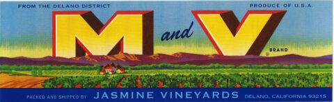 M and V